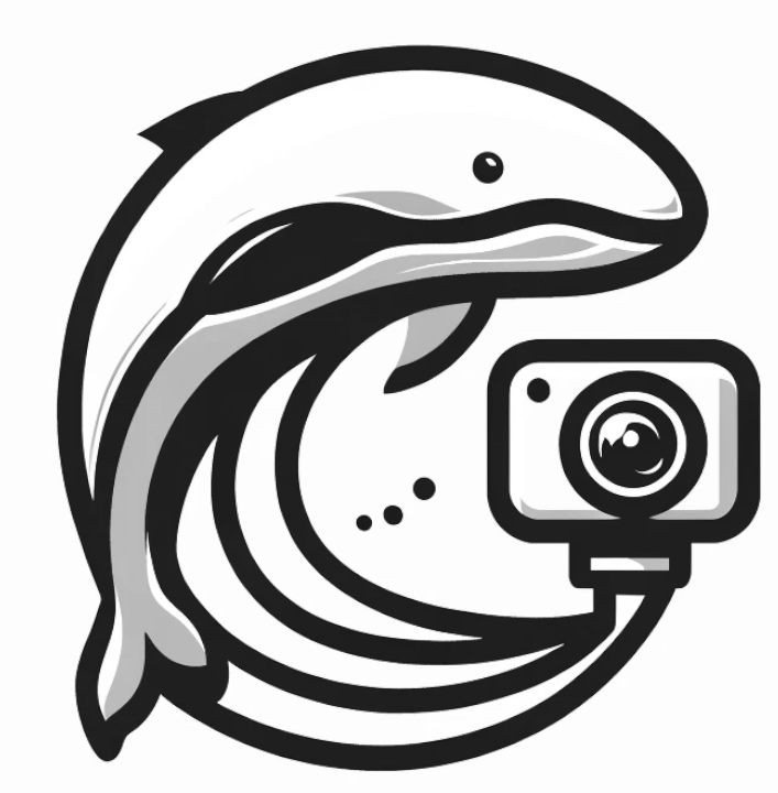 whalespotter.ai